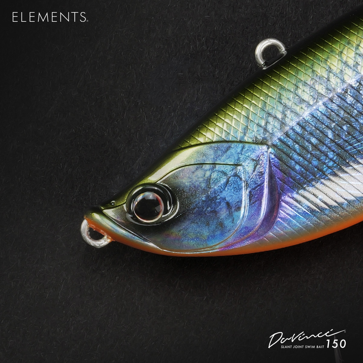 D150_BETTA_02.jpg